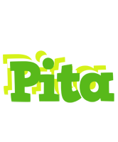 Pita picnic logo