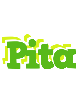 Pita picnic logo