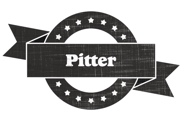 Pitter grunge logo