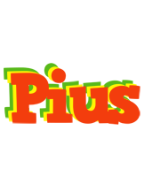 Pius bbq logo