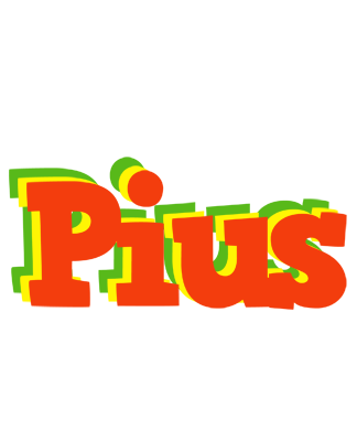 Pius bbq logo