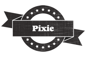 Pixie grunge logo