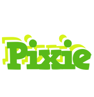 Pixie picnic logo