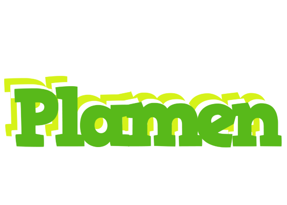 Plamen picnic logo