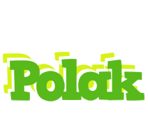 Polak picnic logo