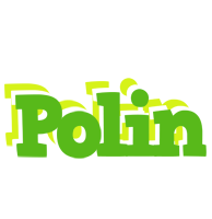 Polin picnic logo