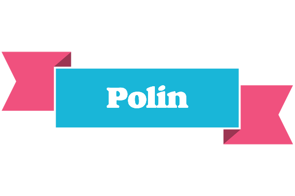 Polin today logo