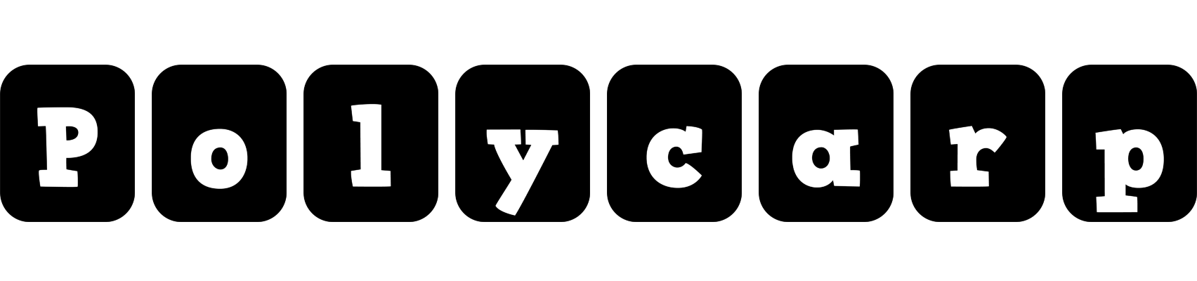 Polycarp box logo