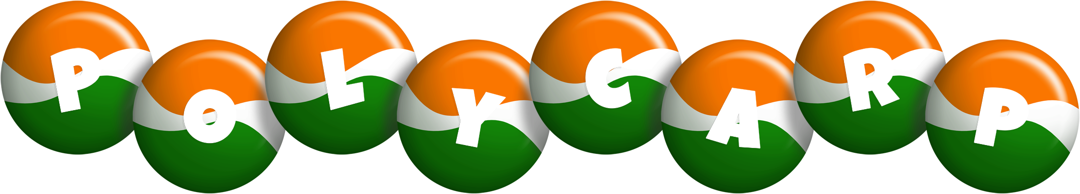 Polycarp india logo