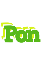 Pon picnic logo