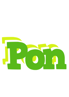 Pon picnic logo
