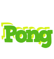 Pong picnic logo