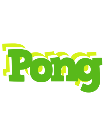 Pong picnic logo