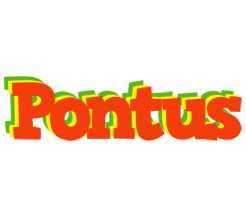 Pontus bbq logo