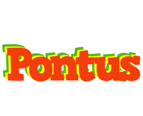 Pontus bbq logo