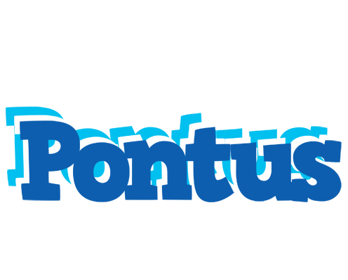 Pontus business logo