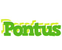 Pontus picnic logo