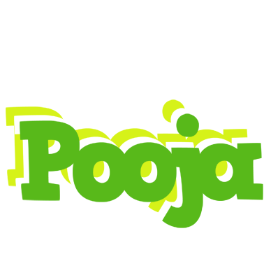 Pooja picnic logo