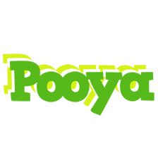 Pooya picnic logo