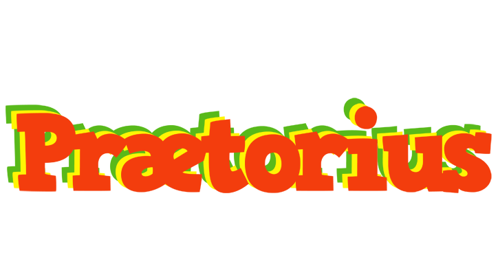 Prætorius bbq logo