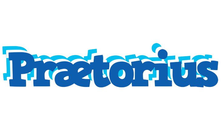 Prætorius business logo