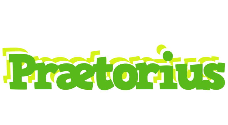Prætorius picnic logo