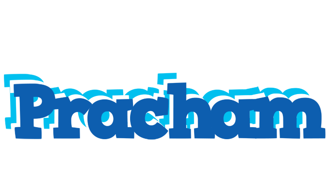 Pracham business logo