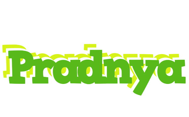 Pradnya picnic logo