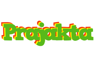 Prajakta crocodile logo