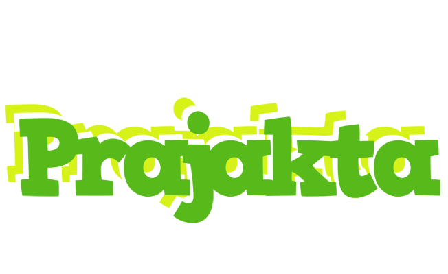 Prajakta picnic logo