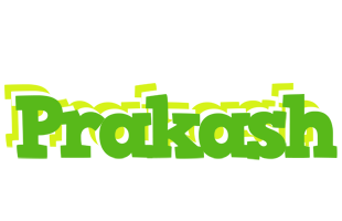 Prakash picnic logo