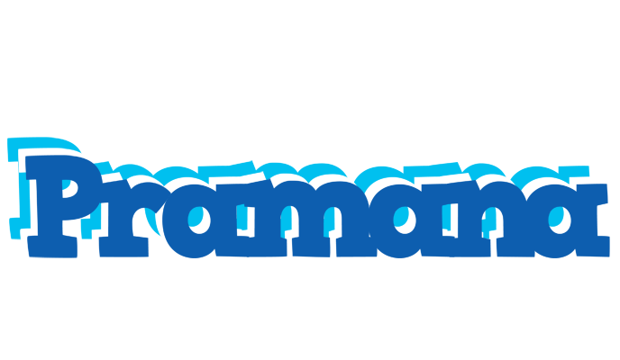 Pramana business logo
