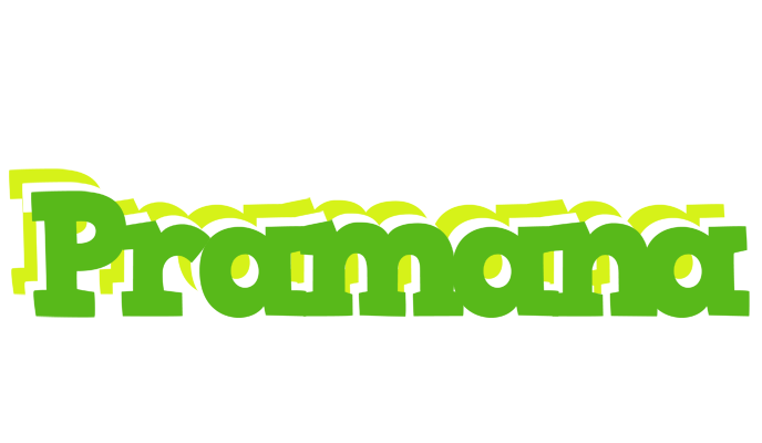 Pramana picnic logo