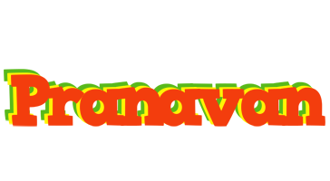 Pranavan bbq logo