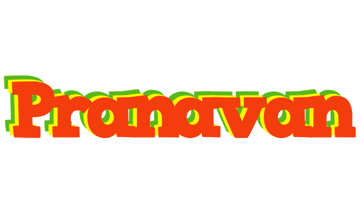 Pranavan bbq logo