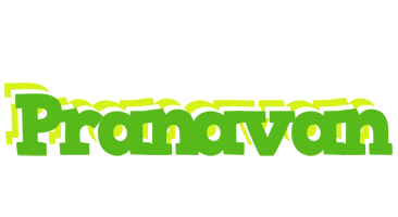 Pranavan picnic logo