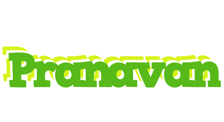 Pranavan picnic logo