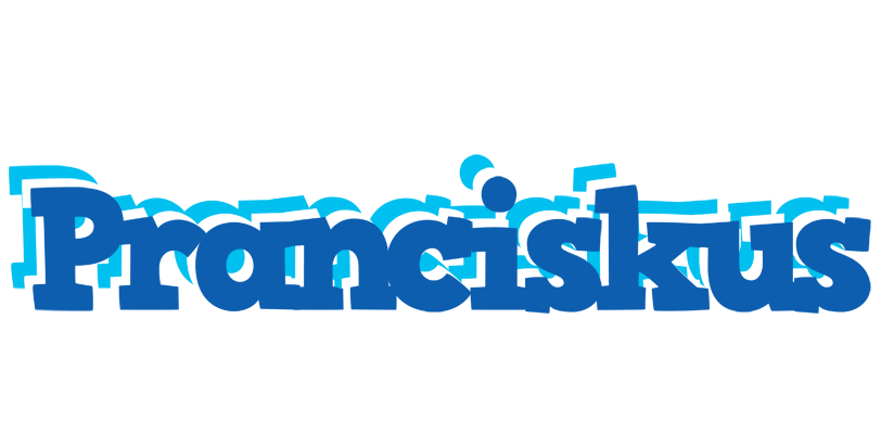 Pranciskus business logo