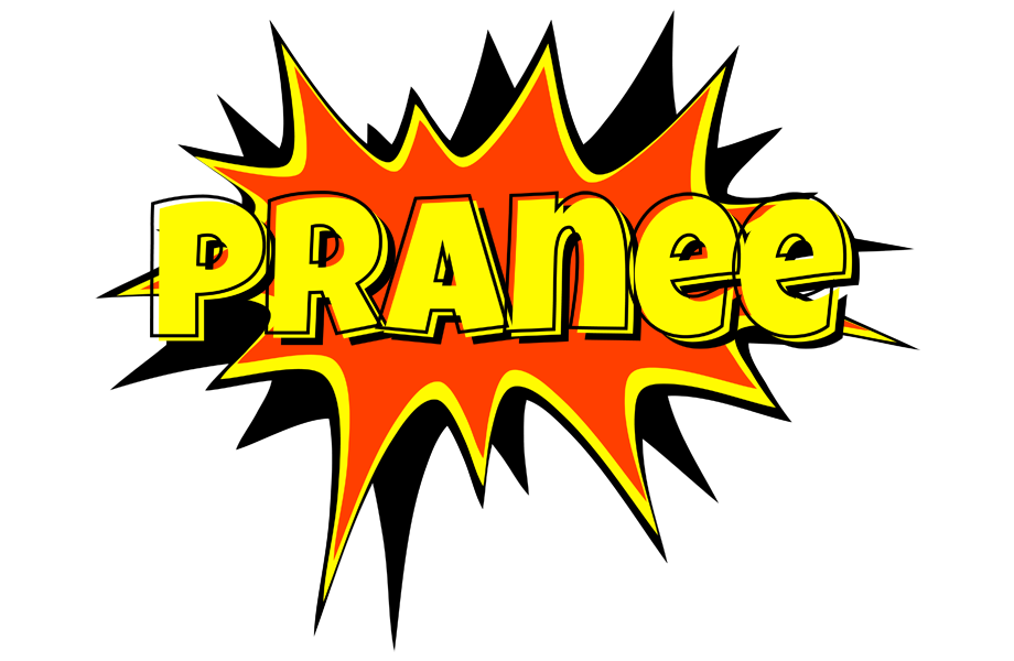 Pranee bazinga logo