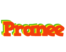 Pranee bbq logo