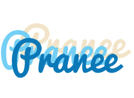 Pranee breeze logo