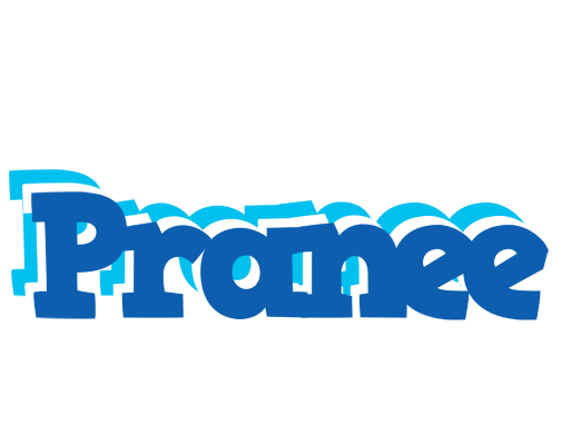 Pranee business logo
