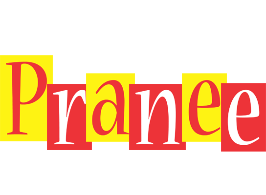 Pranee errors logo