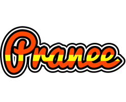 Pranee madrid logo