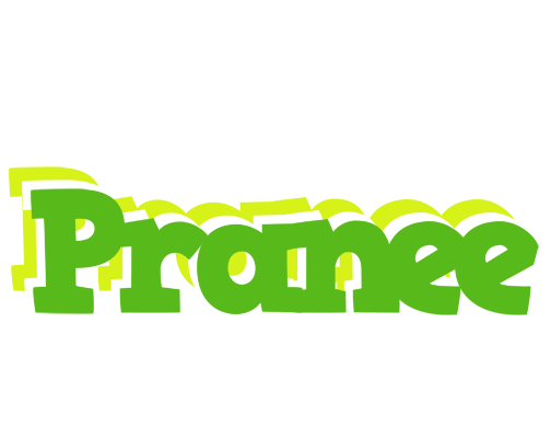 Pranee picnic logo