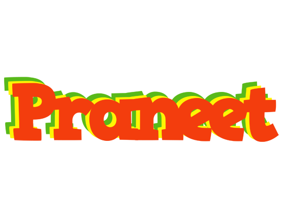 Praneet bbq logo
