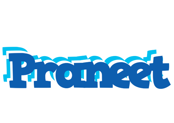 Praneet business logo