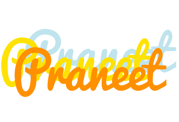 Praneet energy logo