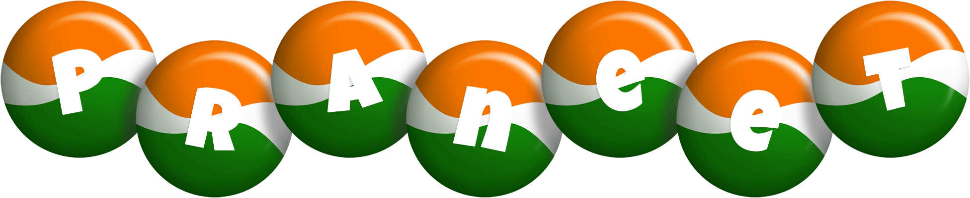 Praneet india logo