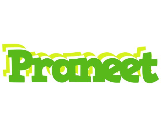 Praneet picnic logo